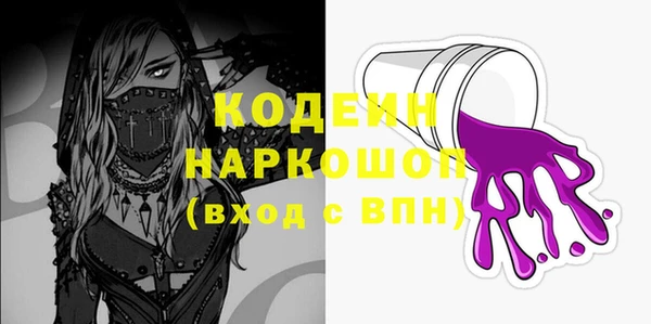 индика Беломорск