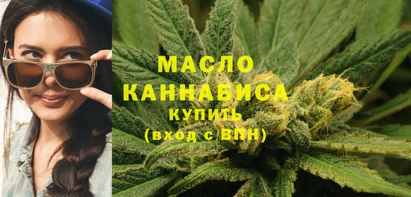 индика Беломорск