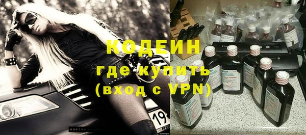 индика Беломорск