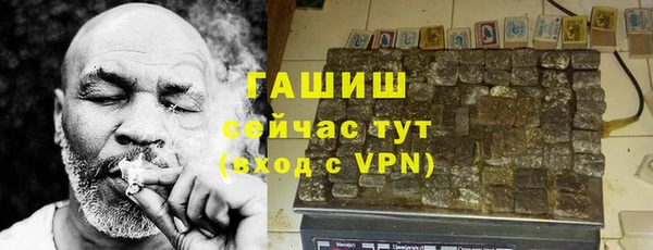индика Беломорск